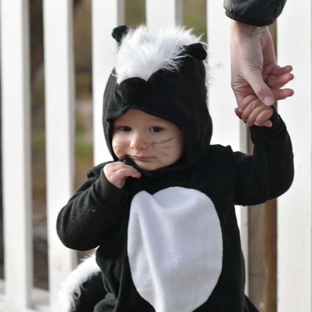 Pottery Barn Kids Black and White skunk Costume
